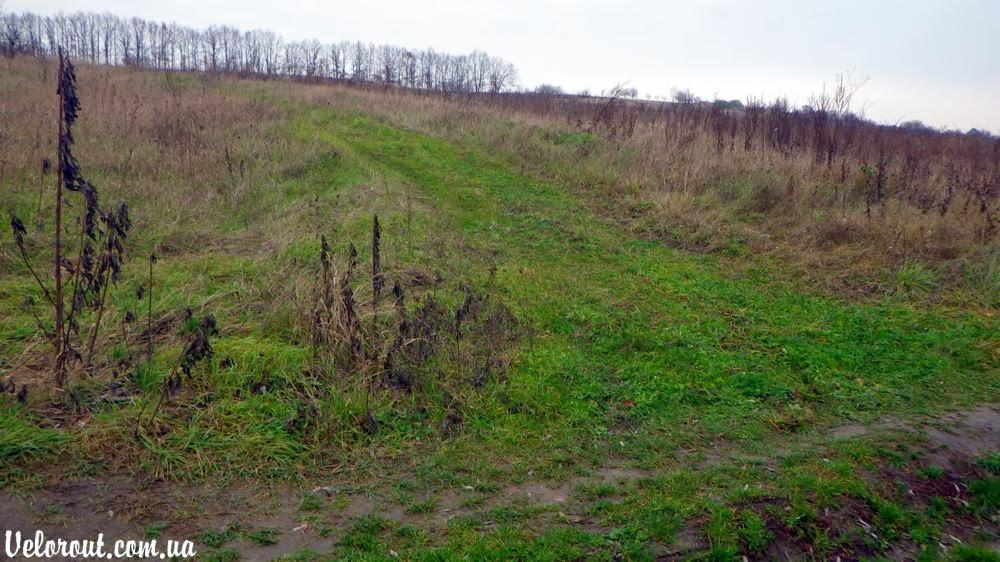 Барахти з panoramio.com - Barakhty