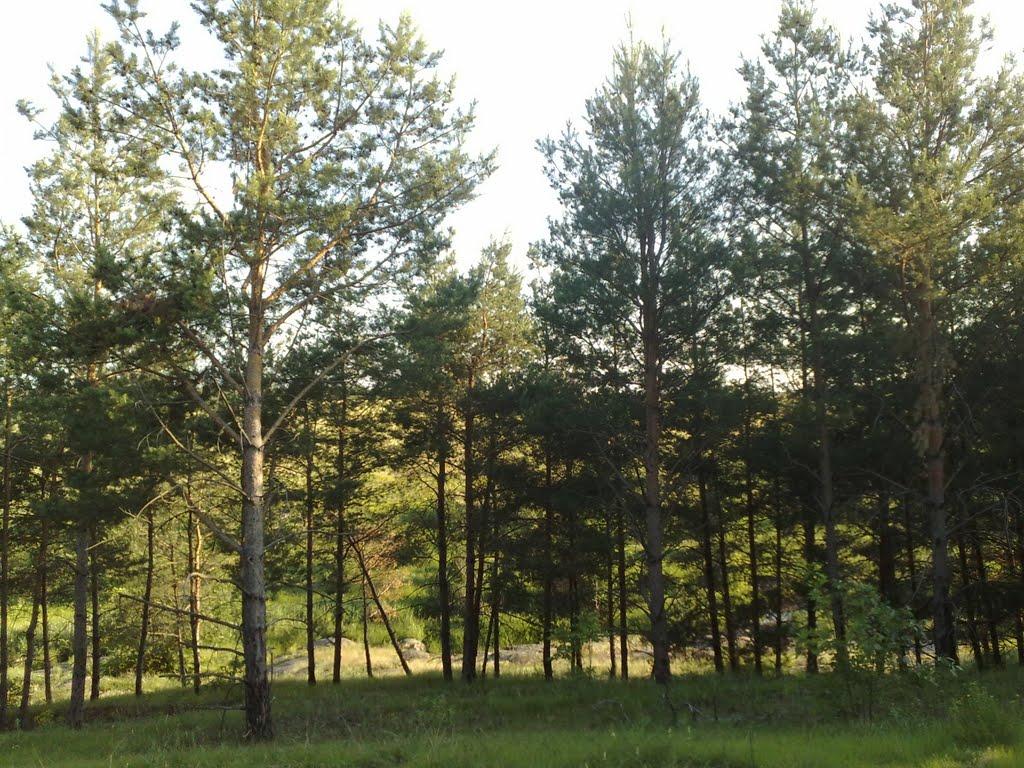 Вереміївка з panoramio.com - Вереміївка