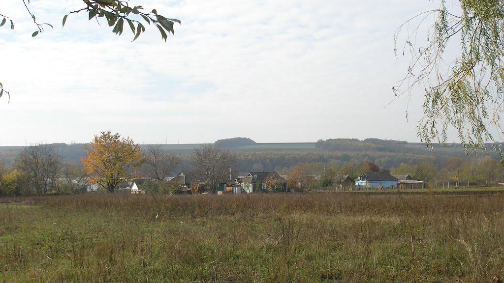 Степашки з panoramio.com - Степашки