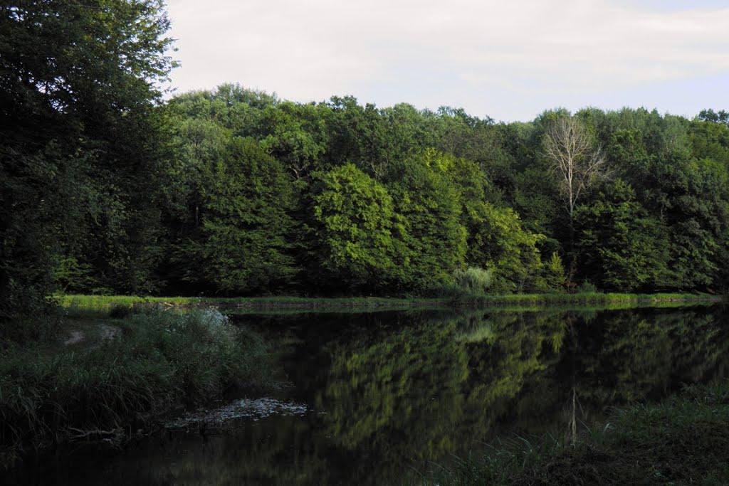 Воротнів з panoramio.com - Воротнев
