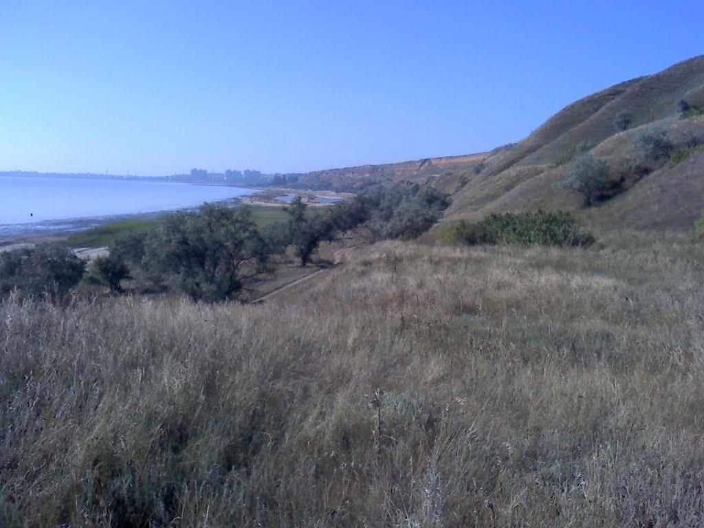 Протопопівка з panoramio.com - Протопоповка