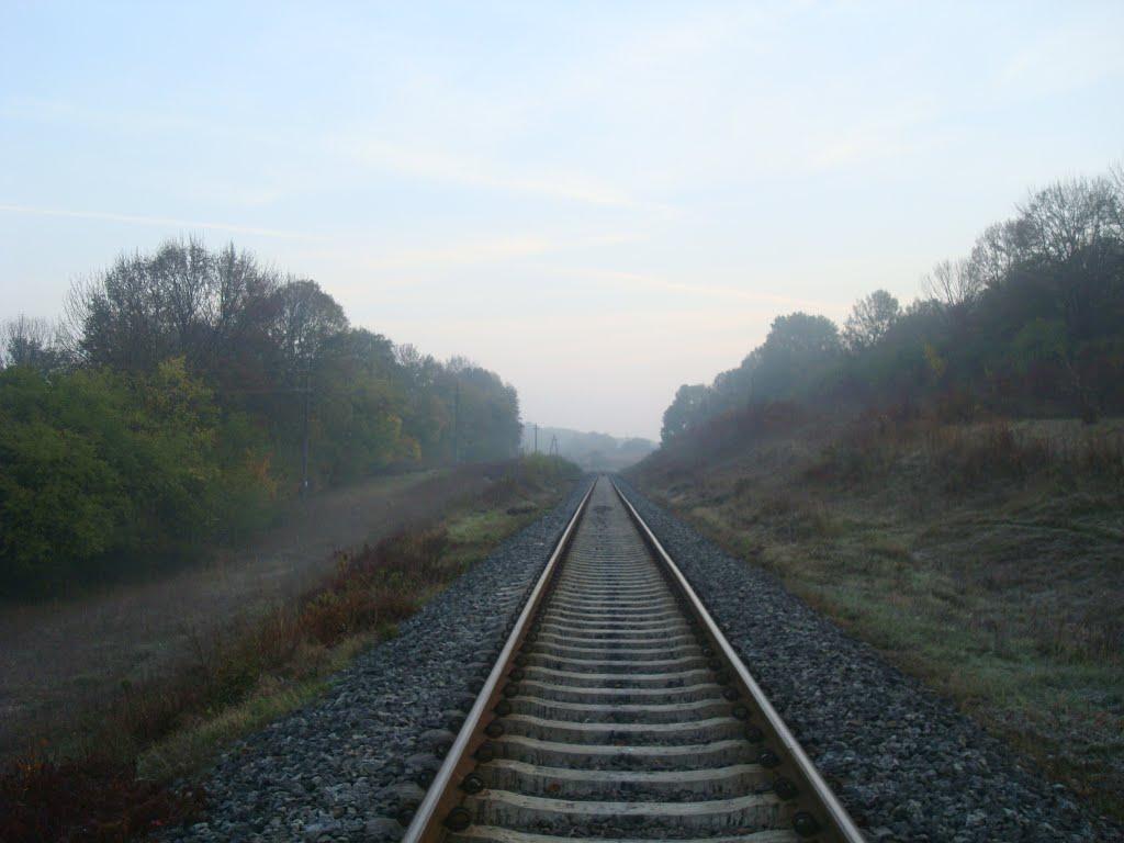 Городок з panoramio.com - Городок