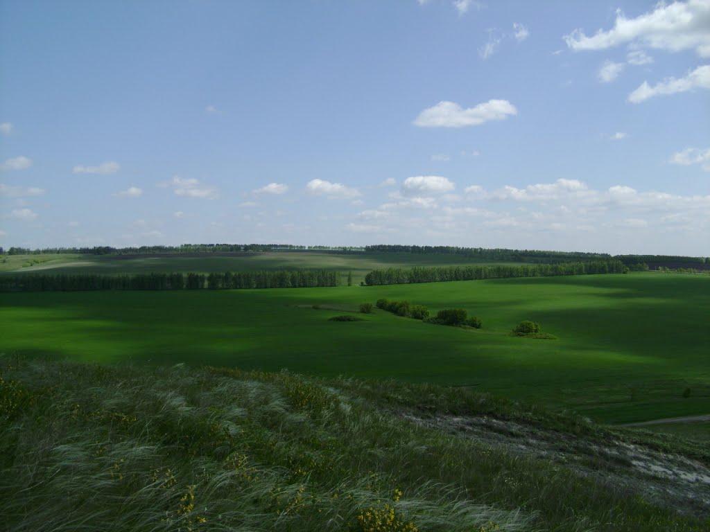 Лозне з panoramio.com - Лозное