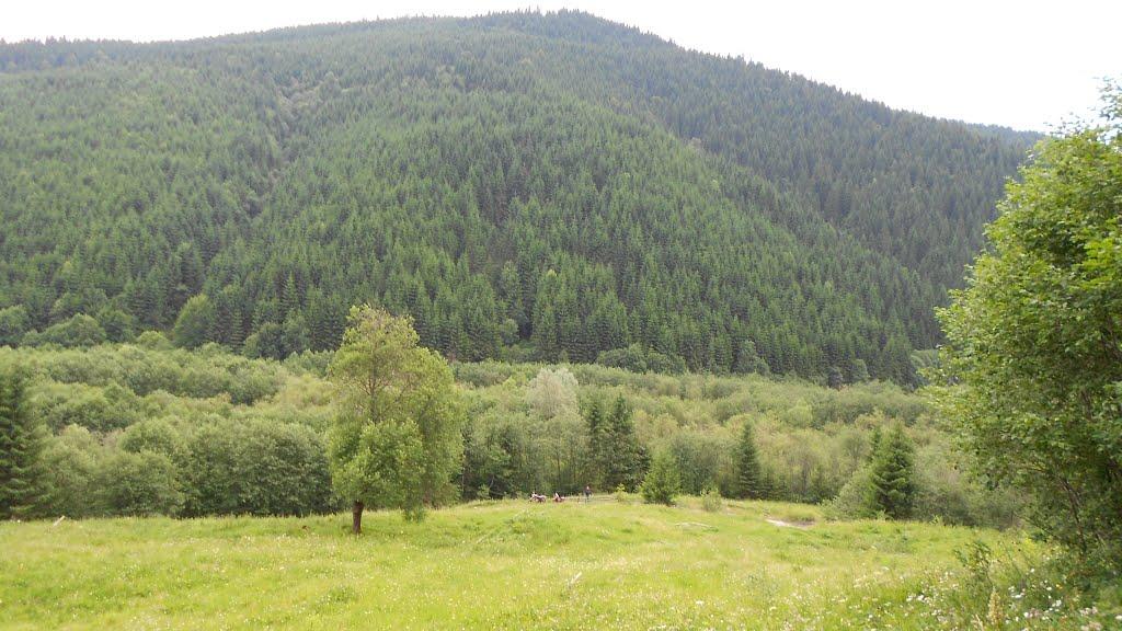 Буркут з panoramio.com - Буркут