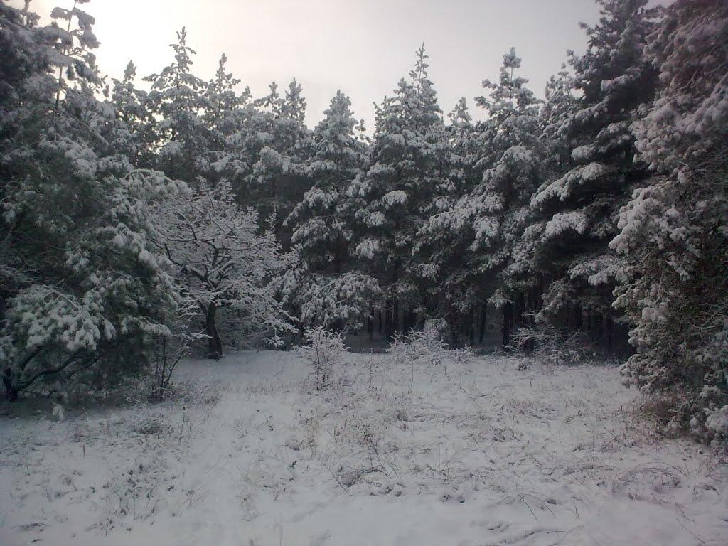 Великий Суходіл з panoramio.com - Великий Суходол
