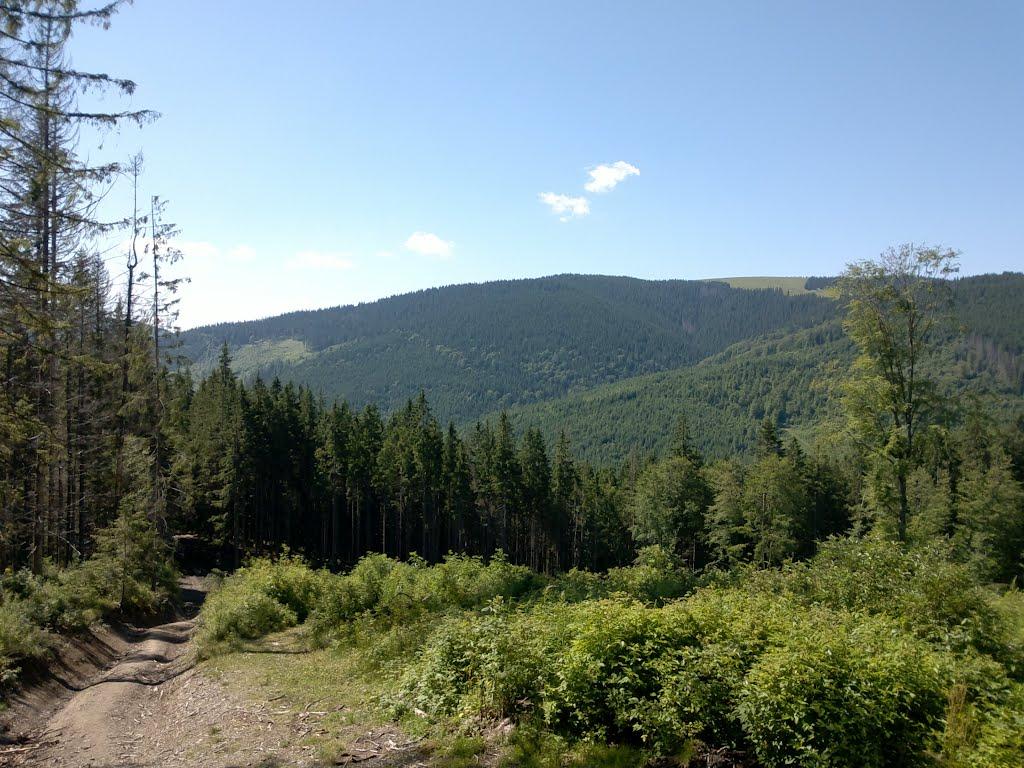 Буркут з panoramio.com - Буркут