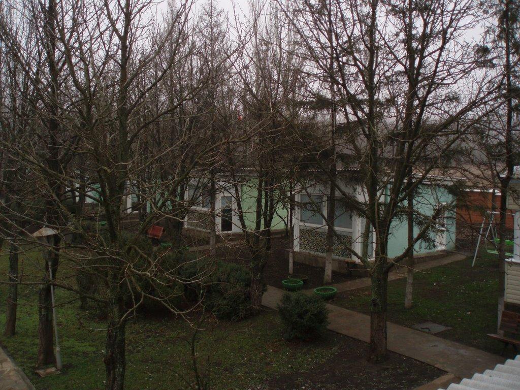 Новохортиця з panoramio.com - Новохортица