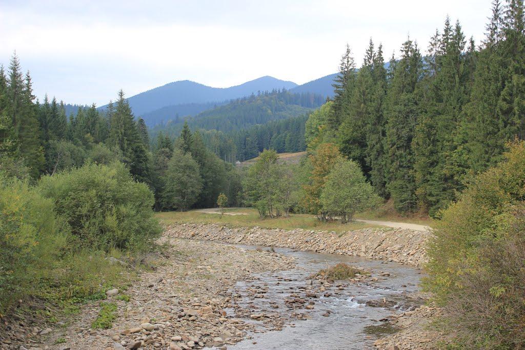Чорна Тиса з panoramio.com - Черная Тиса