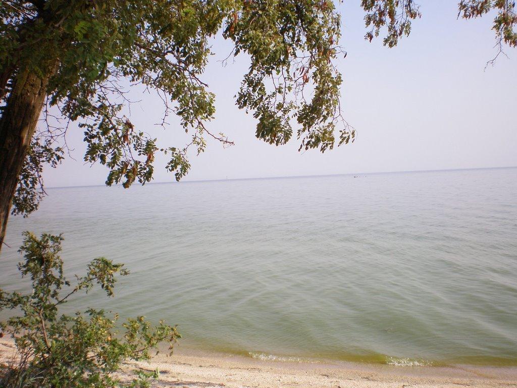 Солончаки з panoramio.com - Солончаки