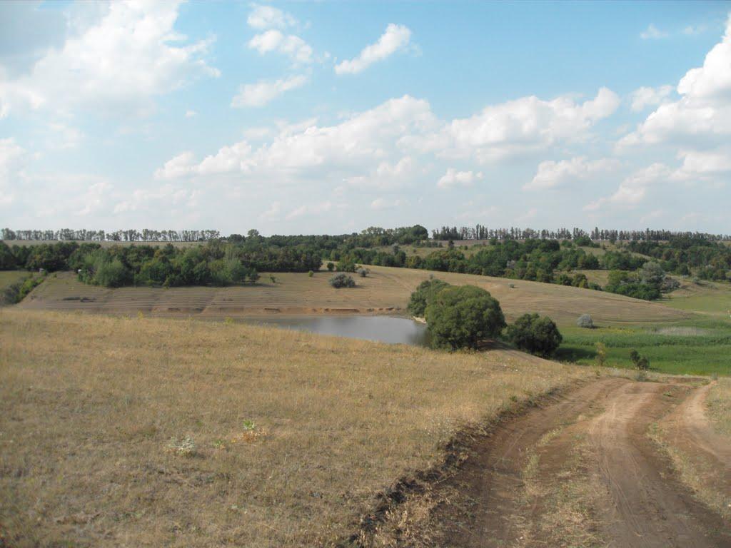 Верхня Орілька з panoramio.com - Верхня Орілька