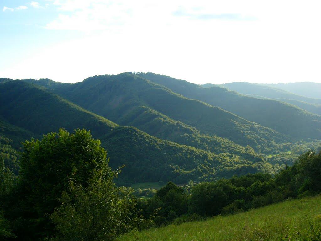 Забрідь з panoramio.com - Забродь