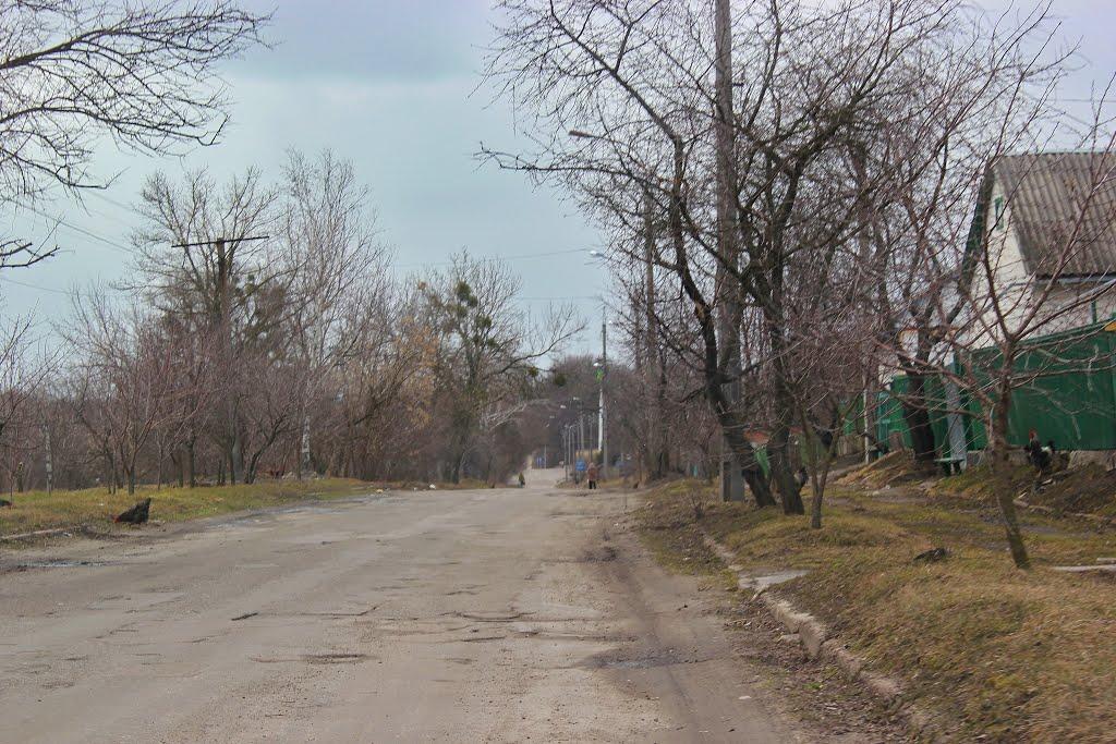 Кам'янка з panoramio.com - Каменка