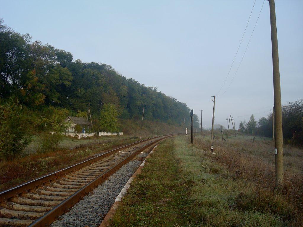 Лісогірка з panoramio.com - Лесогорка