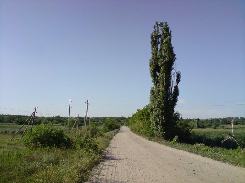 Перельоти з panoramio.com - Перелеты