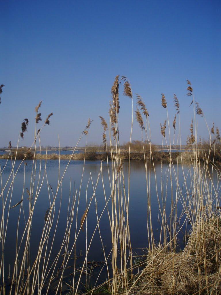 Рогізне з panoramio.com - Рогізне