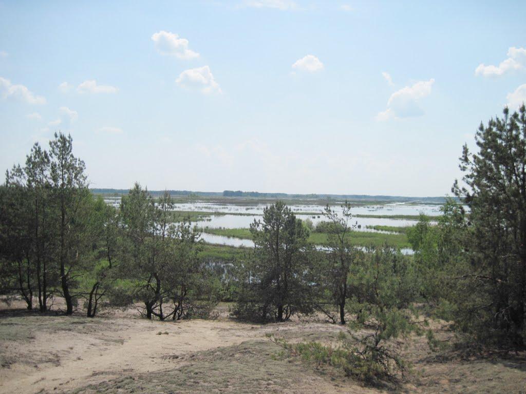 Рудня-Карпилівська з panoramio.com - Рудня-Карпилівська