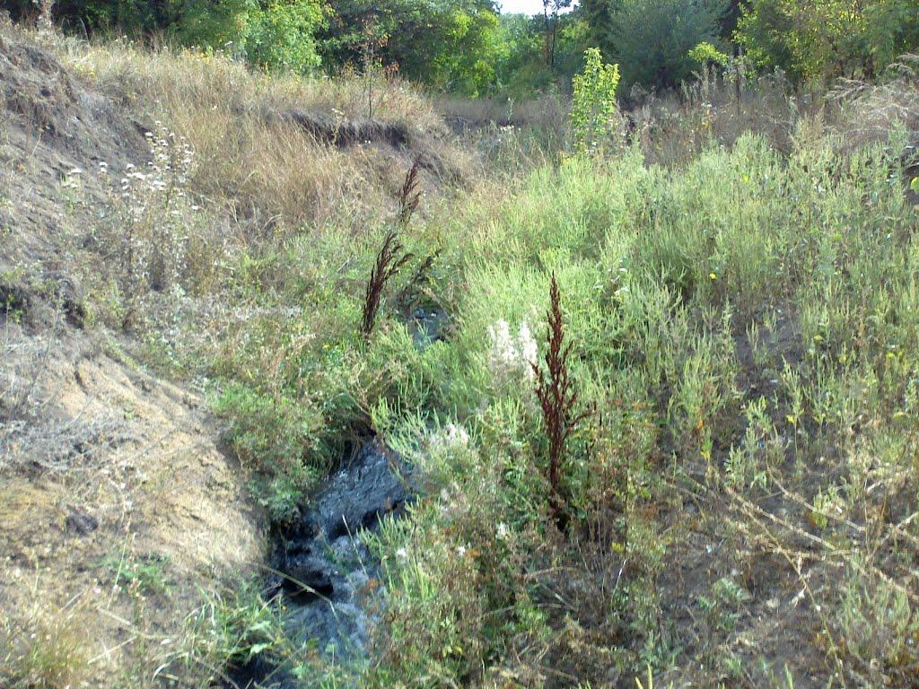 Вуглегірськ з panoramio.com - Вуглегірськ