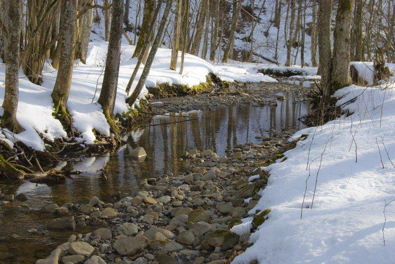 Родникова Гута з panoramio.com - Родникова Гута