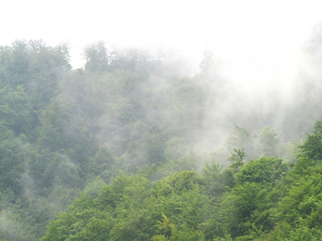 Водиця з panoramio.com - Vodytsya