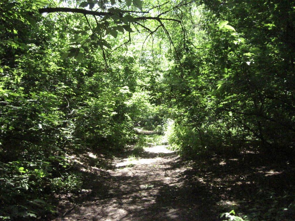 Потоки з panoramio.com - Потоки