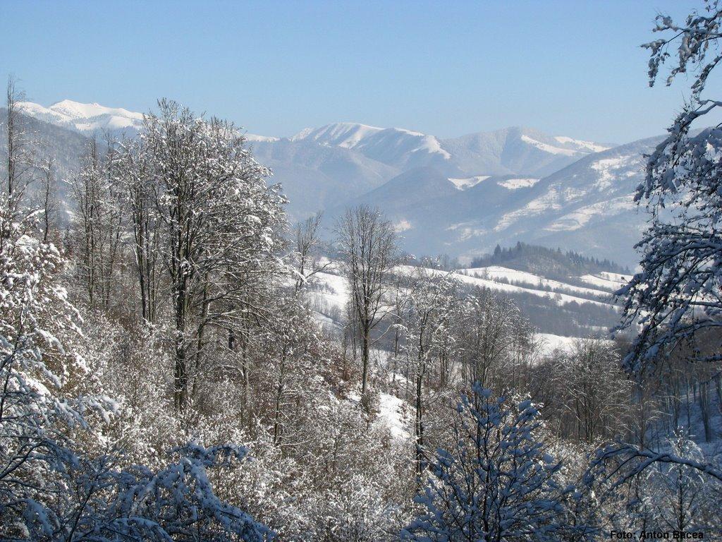 Хмелів з panoramio.com - Хмелів