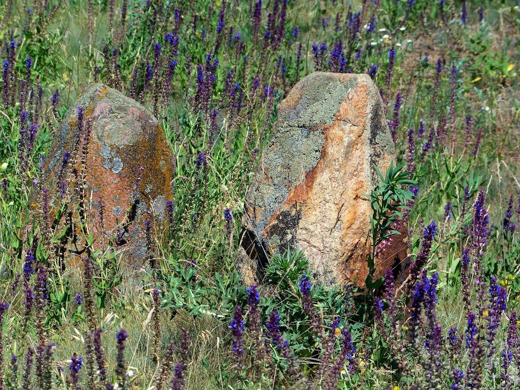 Гурівка з panoramio.com - Гуровка