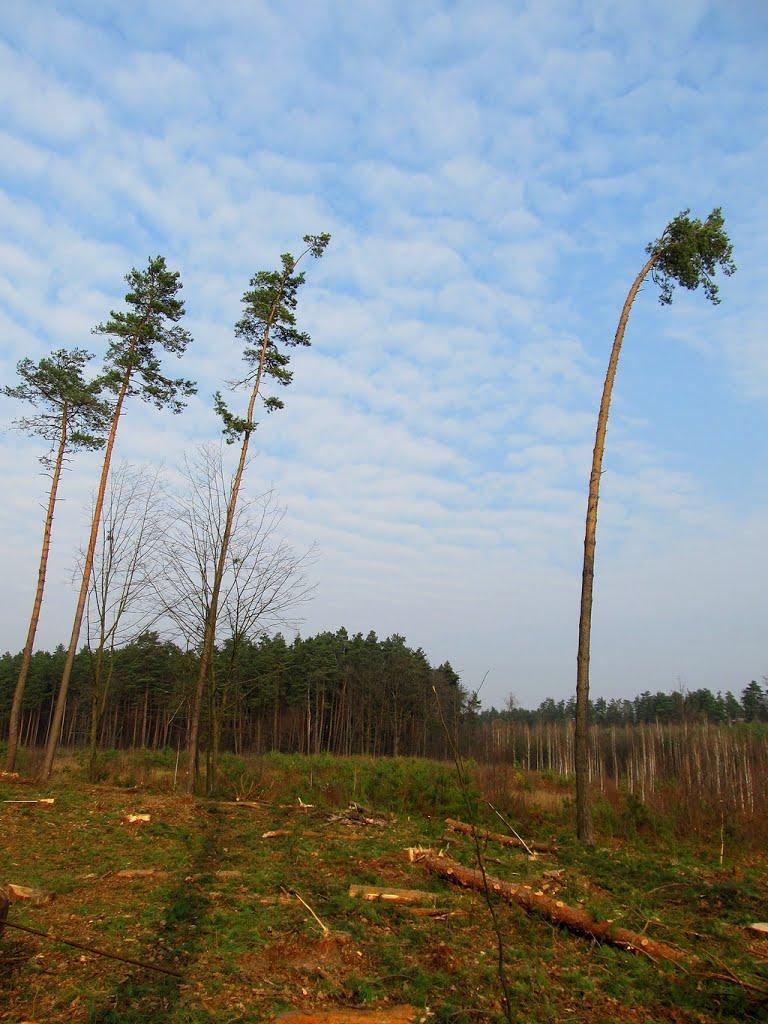 Полонне з panoramio.com - Полонное