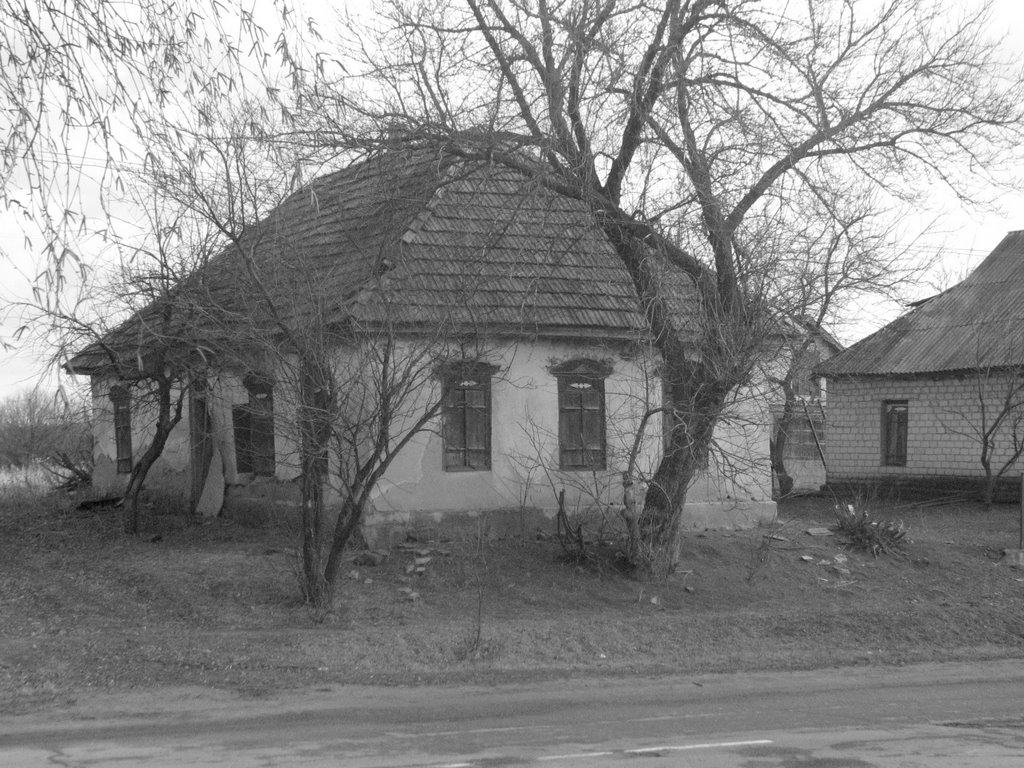 Куцеволівка з panoramio.com - Куцеволівка