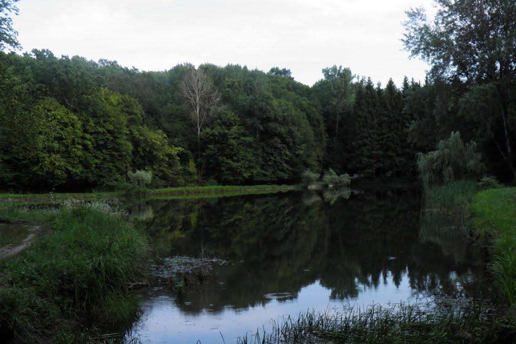 Воротнів з panoramio.com - Воротнев