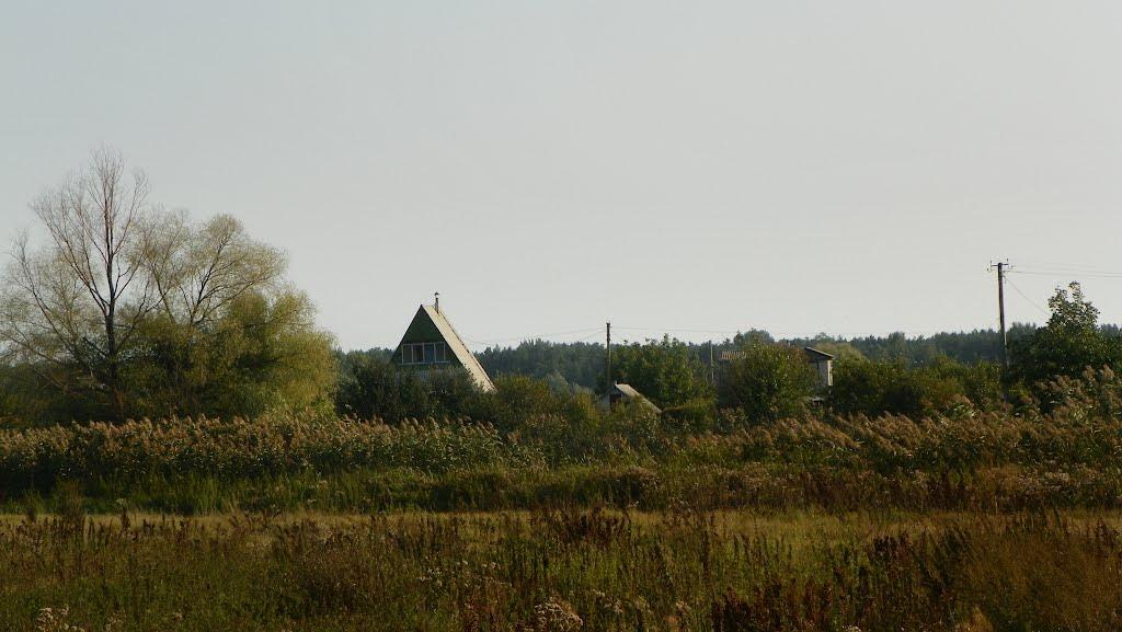 Чехівка з panoramio.com - Чехівка
