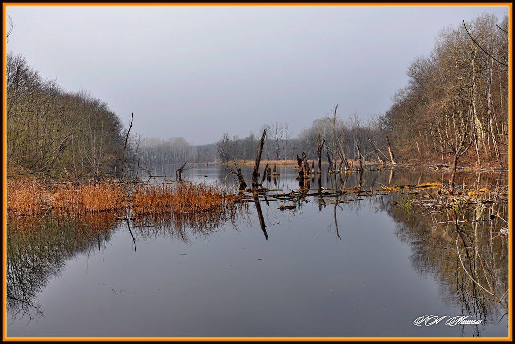 Білогорівка з panoramio.com - Білогорівка