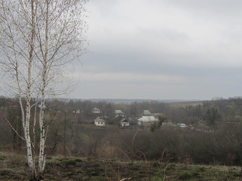 Бушинка з panoramio.com - Бушинка