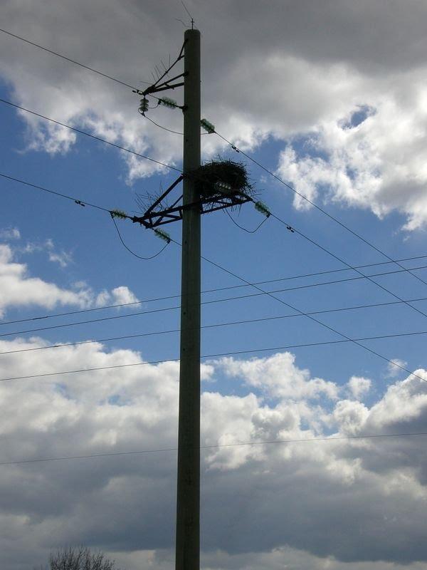 Дебрево з panoramio.com - Дебрево