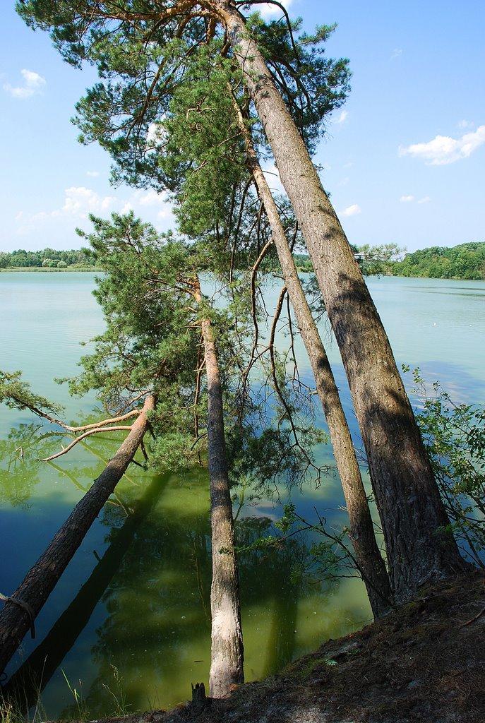 Тетерівка з panoramio.com - Тетерівка