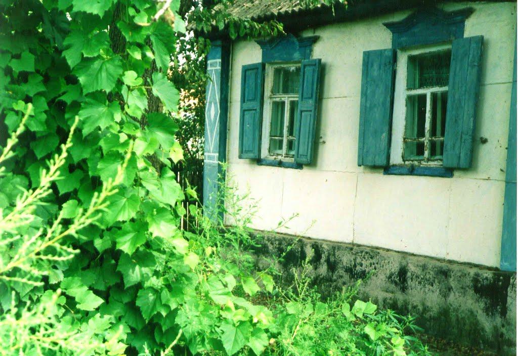 Кружилівка з panoramio.com - Кружиловка