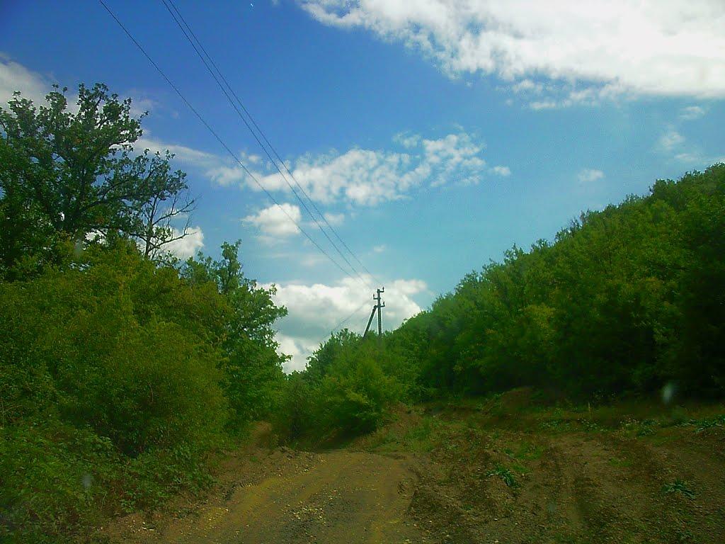 Синапне з panoramio.com - Синапне