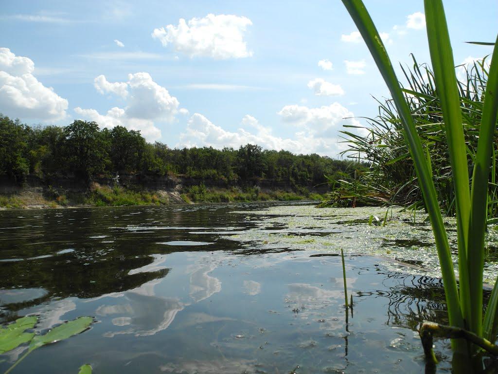 Пархоменко з panoramio.com - Parkhomenko