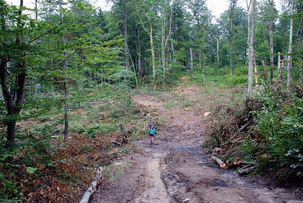 Усть-Чорна з panoramio.com - Усть-Чорна