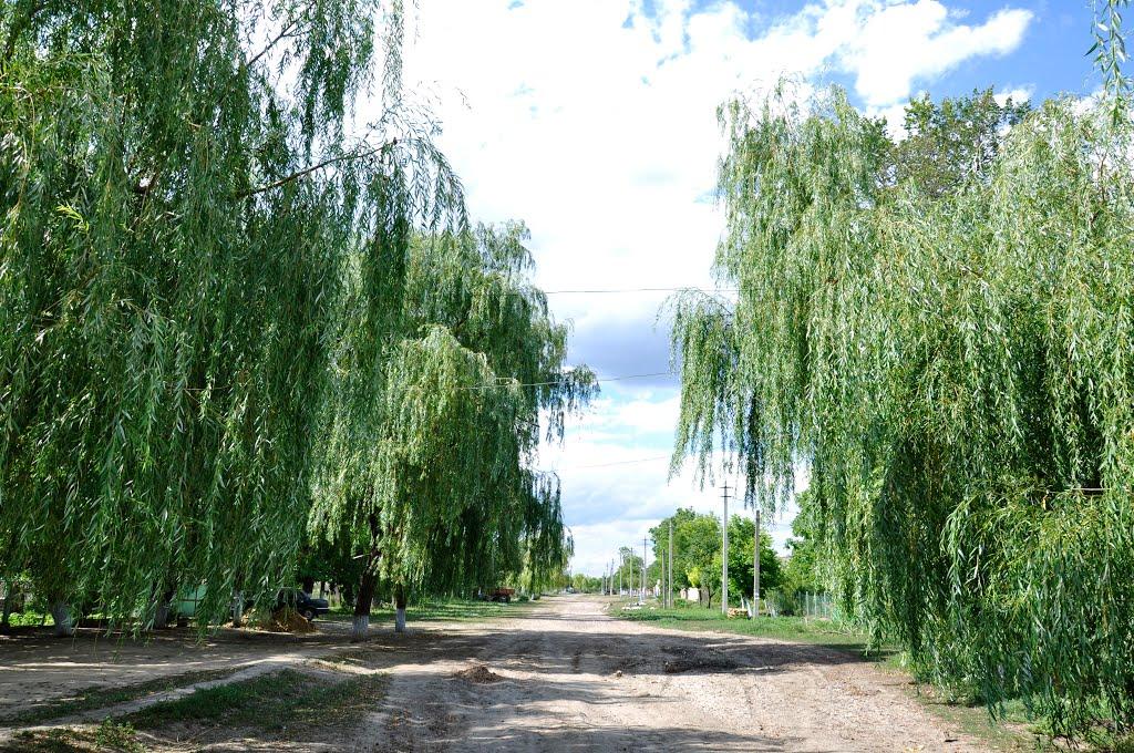 Малоярославець Другий з panoramio.com - Малоярославець Другий