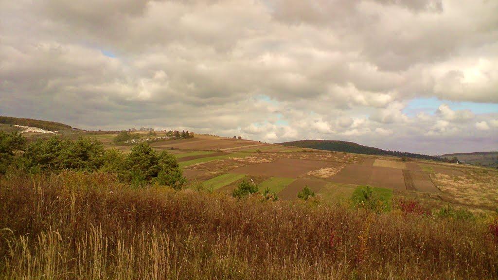 Куряни з panoramio.com - Куряни