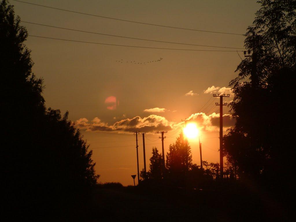 Семиківці з panoramio.com - Семиківці