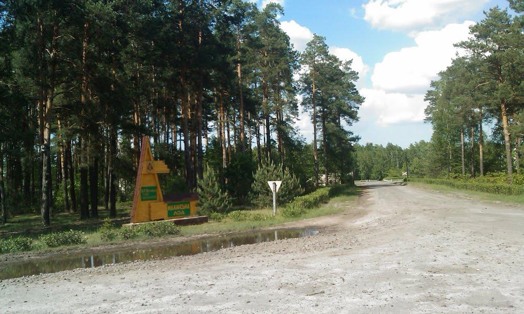 Малинськ з panoramio.com - Малинск