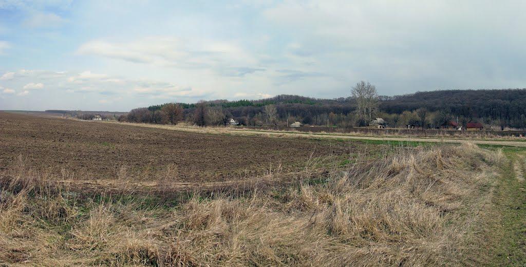 Тимошівка з panoramio.com - Тимошівка