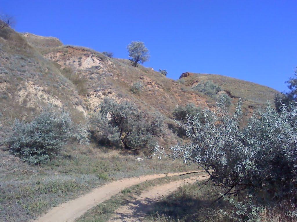 Августівка з panoramio.com - Августовка