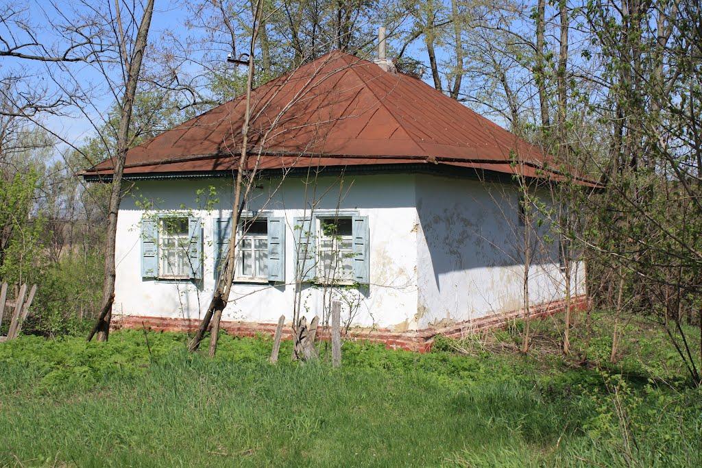 Загородище з panoramio.com - Загородище