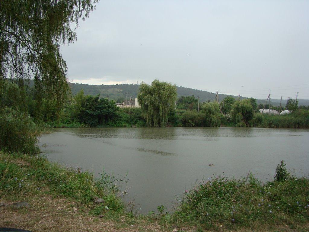 Денисівка з panoramio.com - Денисівка