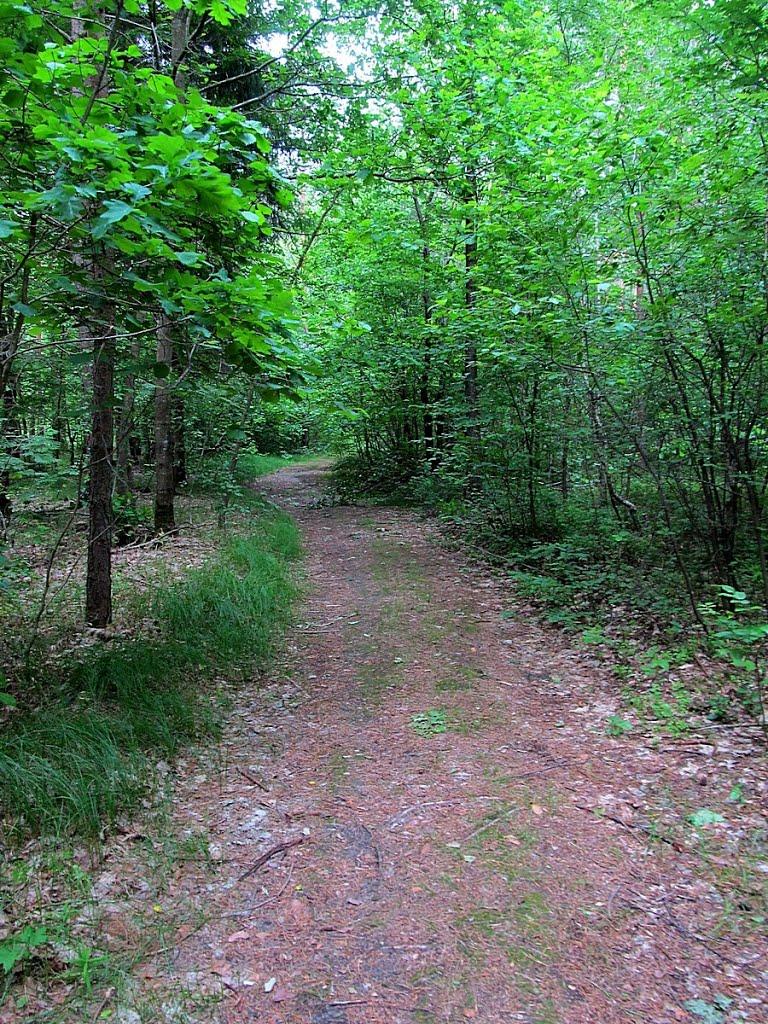 Полонне з panoramio.com - Полонное