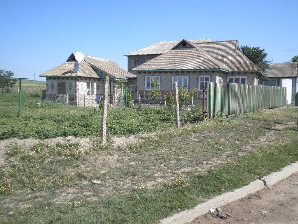 Єлизаветівка з panoramio.com - Єлизаветівка