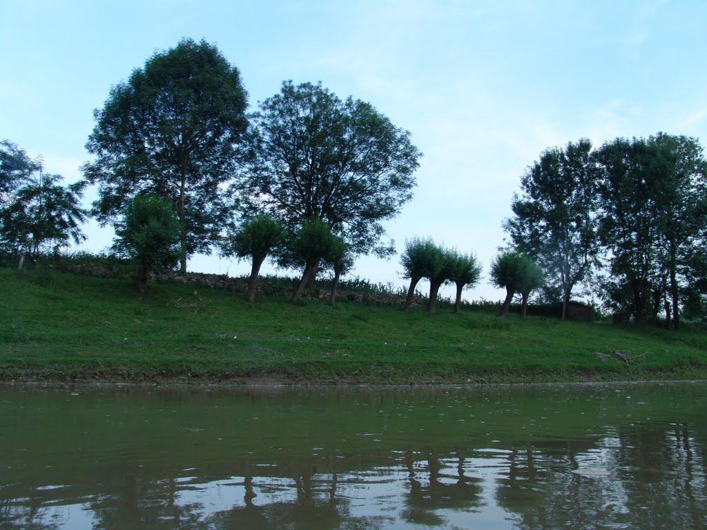 Коропець з panoramio.com - Коропец