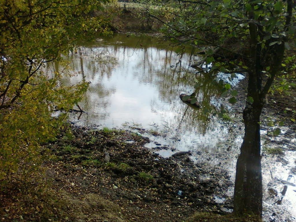 Павлівка з panoramio.com - Павлівка